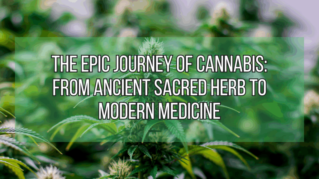 The Epic Journey of Cannabis From Ancient Sacred Herb to Modern Medicine
