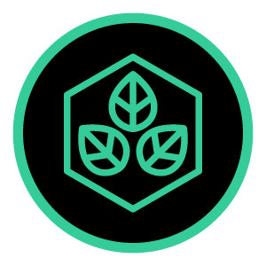 epic remedy, epic remedy colorado springs, epic remedy marijuana, epic remedy cannabis, epic remedy dispensary, er dispensary colorado springs, best dispensary colorado springs